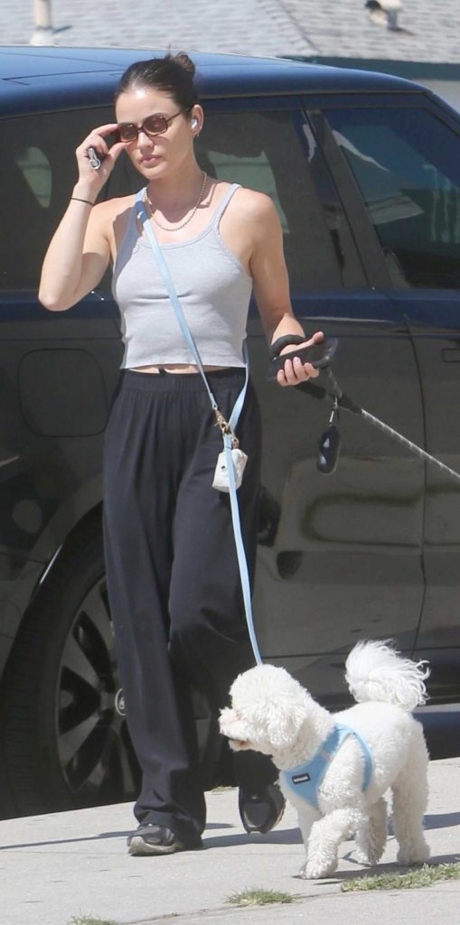 Lucy Hale in a Grey Top