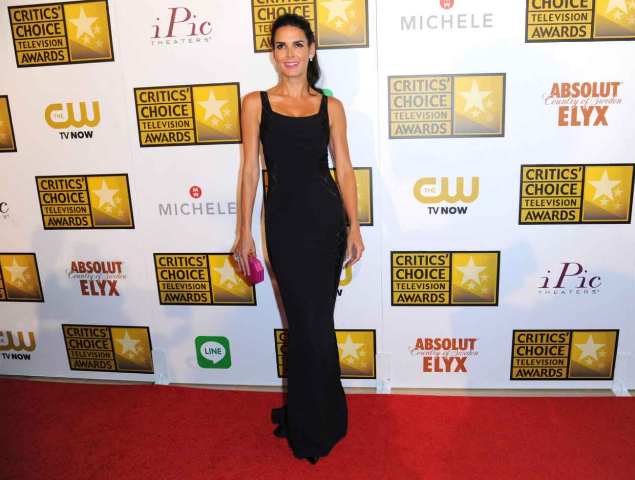 Angie Harmon 2015 Critics Choice Television Awards in Beverly Hills