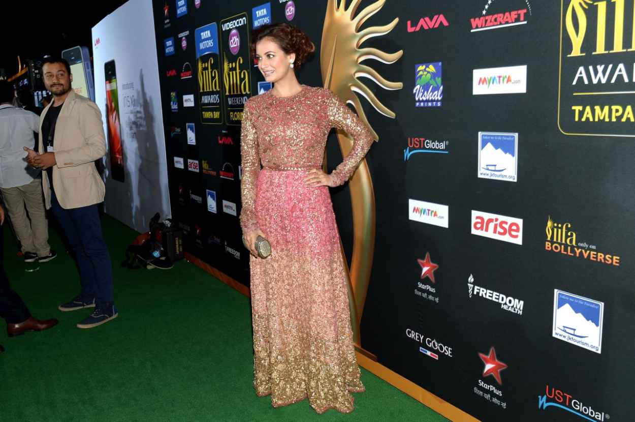 Dia Mirza – 2015 International Indian Film Awards – celebsla.com