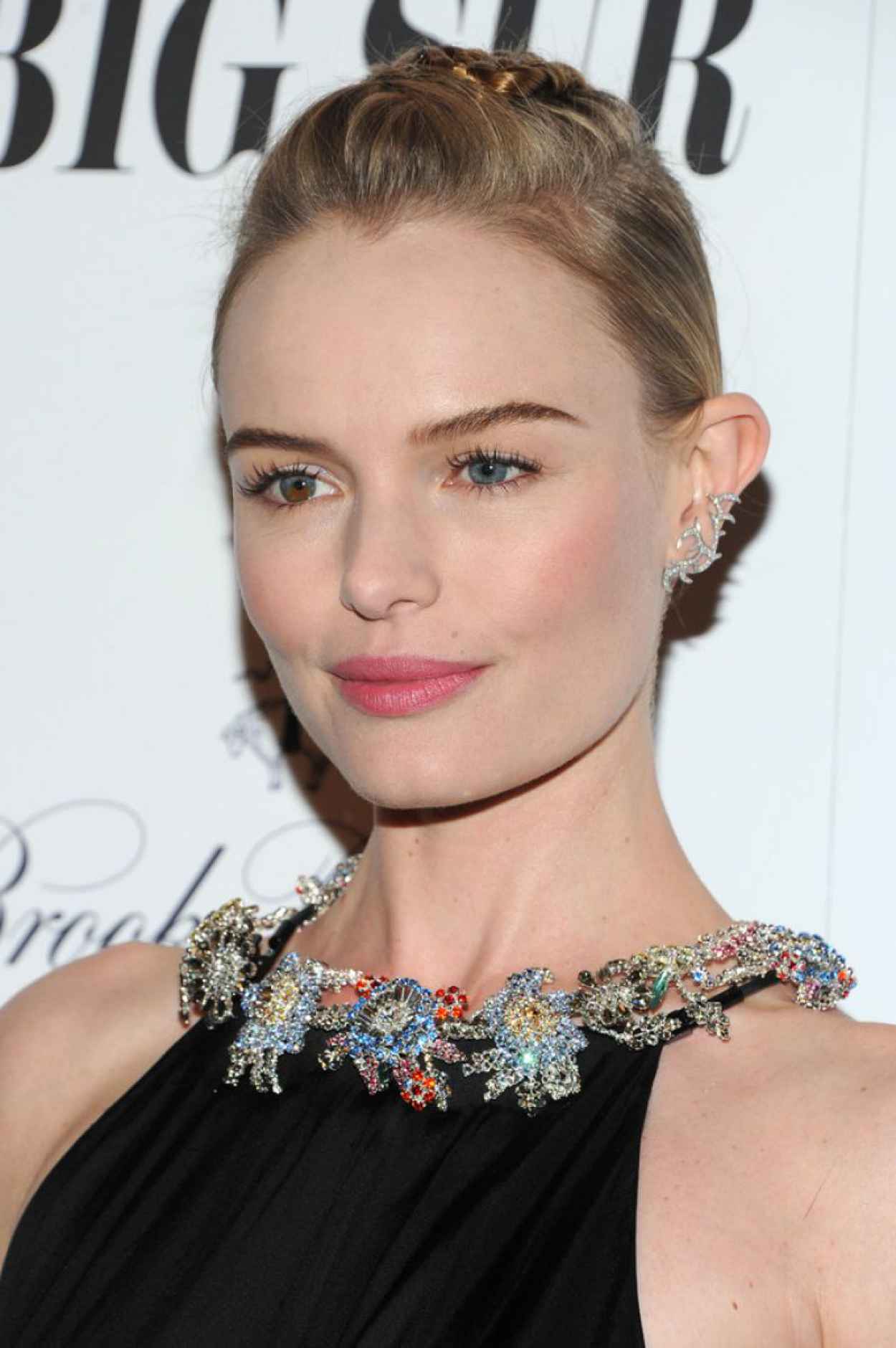Kate Bosworth Red Carpet Photos - BIG SUR Premiere in New York City-3