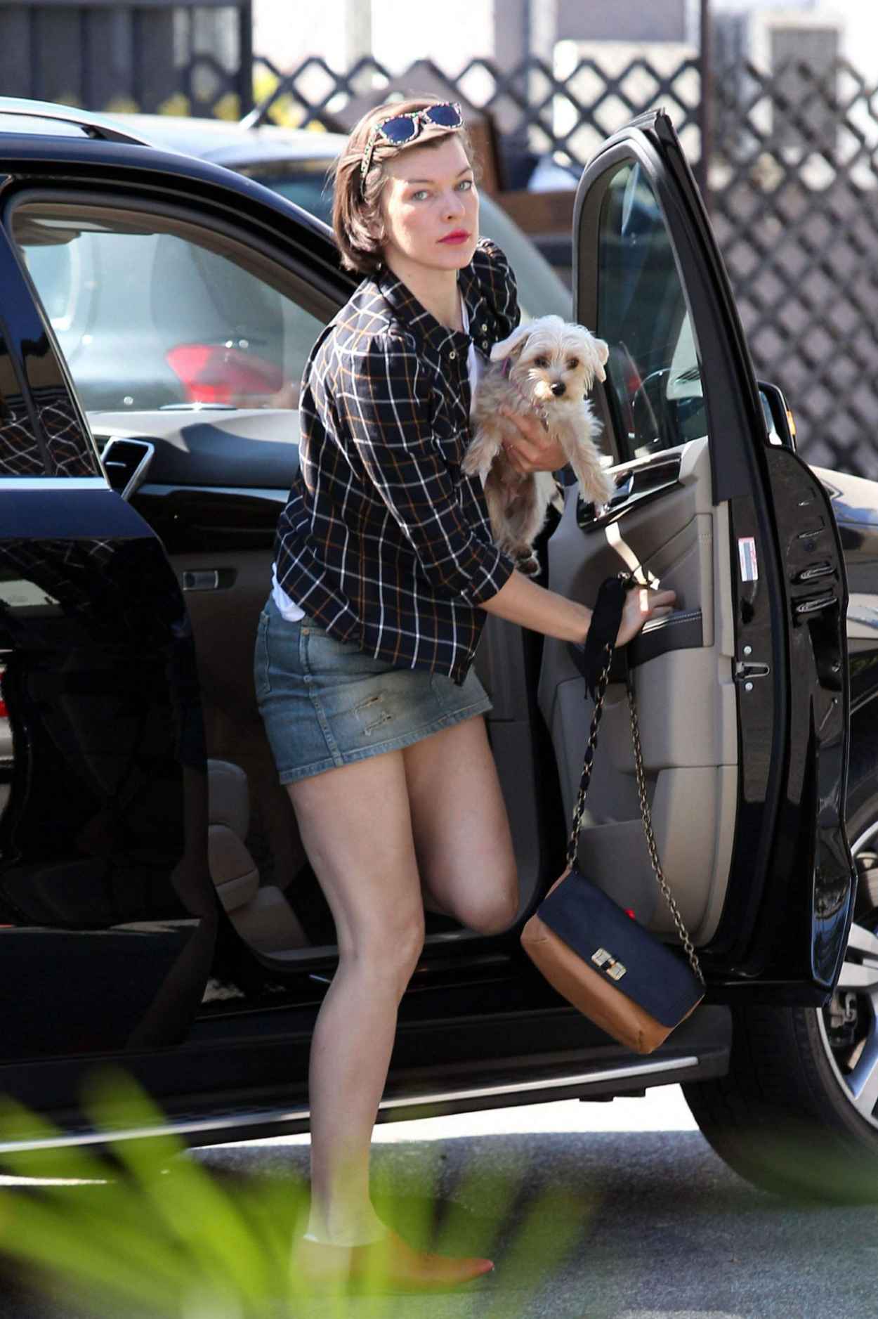 Milla Jovovich Takes Her Dogs To The Vet - Los Angeles-2