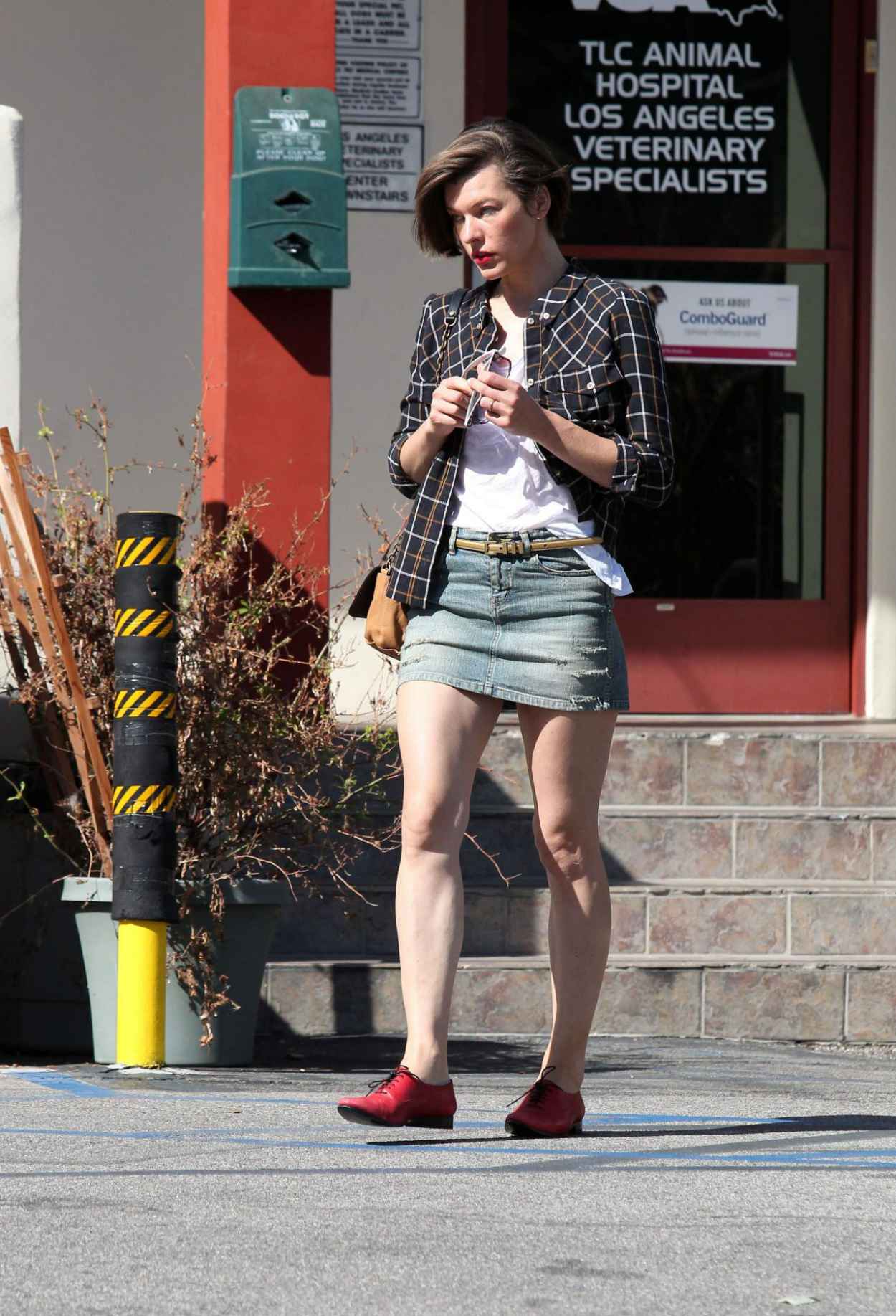 Milla Jovovich Takes Her Dogs To The Vet - Los Angeles-5