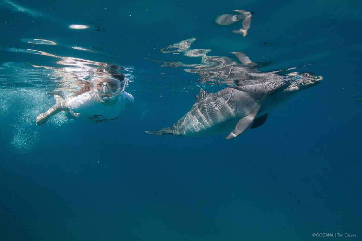 Miranda Cosgrove Swiming With Dolphins in Bahamas, March 2015