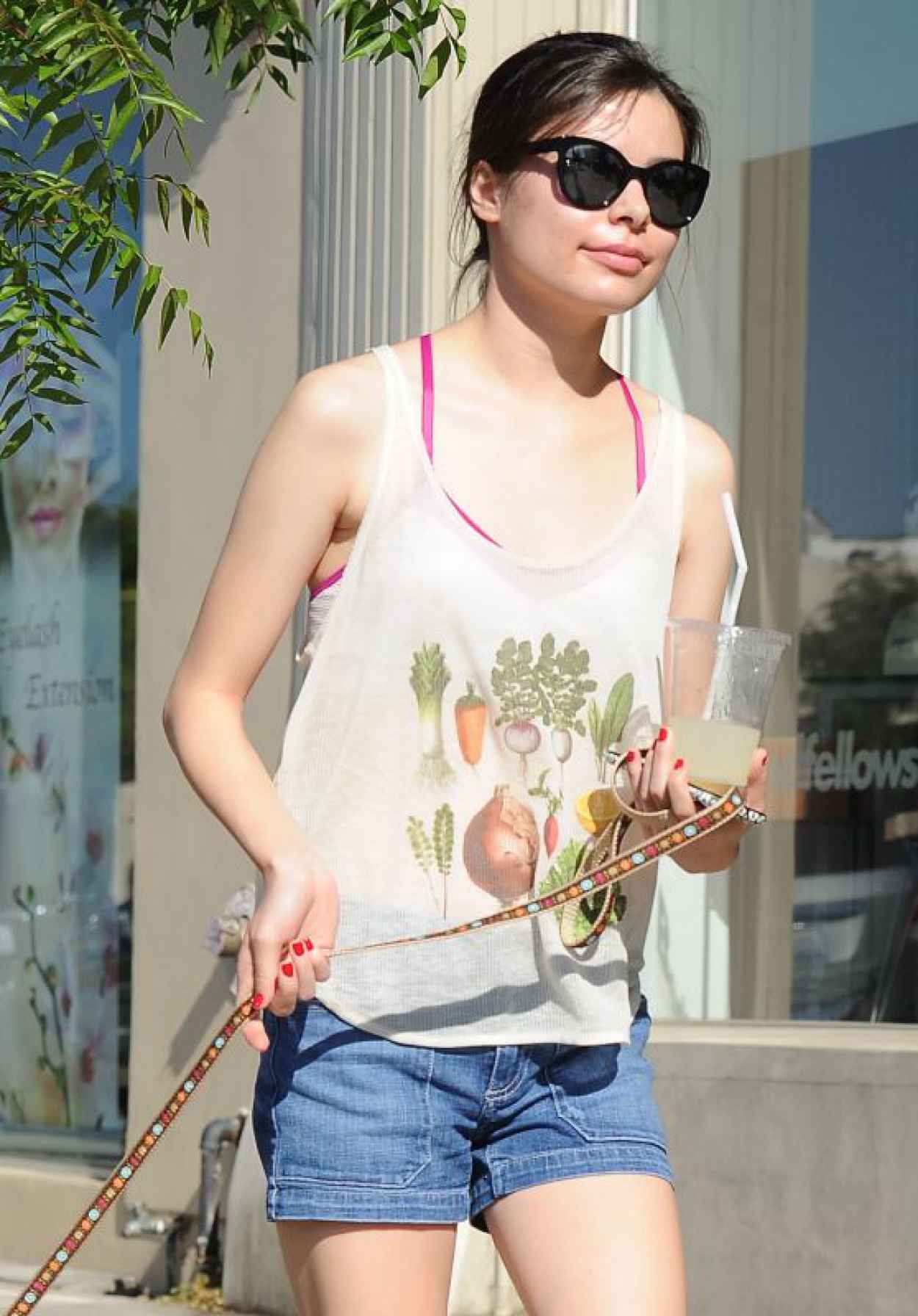 Miranda Cosgrove Walking Her Dog in Los Angeles, June 2015-1