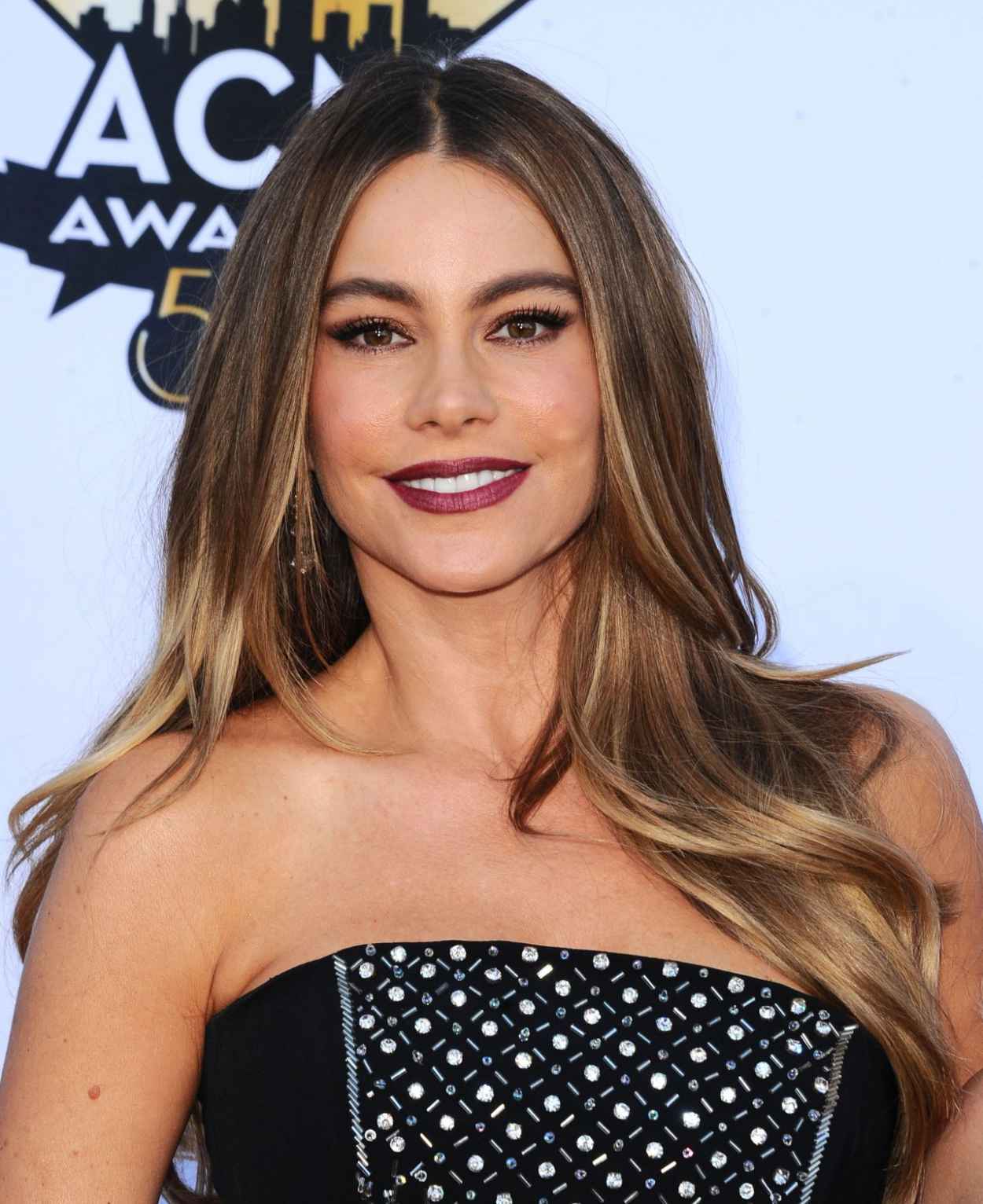 Sofia Vergara 2015 Academy Of Country Music Awards in Arlington ...